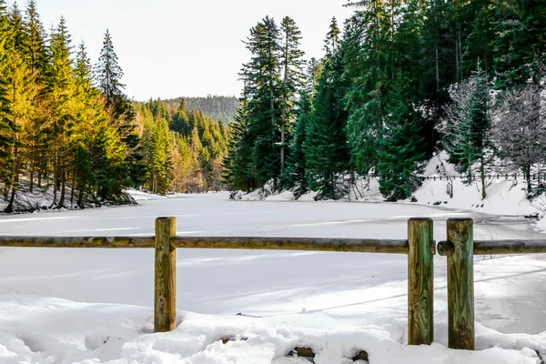 Lago ghiacciato Longemer nella montagna dei Vosgi, Francia — Foto Stock