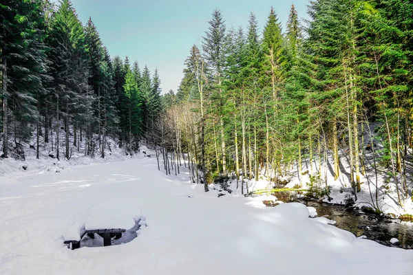 Paesaggio invernale della foresta in montagna Vosges, Francia — Foto Stock