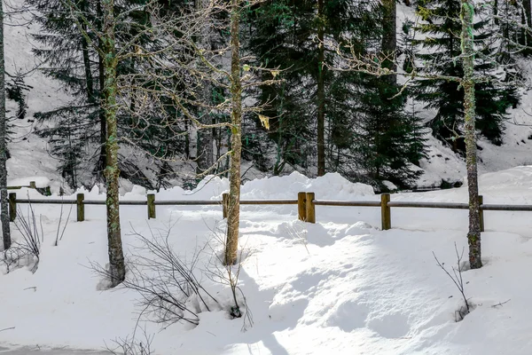 Frusen Longemer sjö i Vogeserna berg, Frankrike — Stockfoto