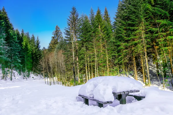 Bevroren Longemer meer in de Vogezen berg, Frankrijk — Stockfoto