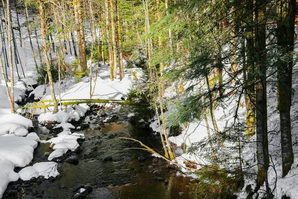Маленькая река в горах Вогезов — стоковое фото