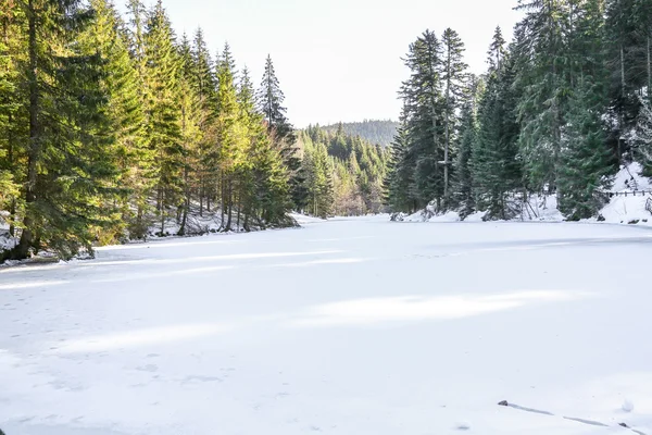 Zamrzlé jezero Longemer ve Vogézách Mountain, Francie — Stock fotografie