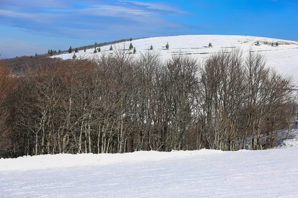 Sníh lyžování krajina ve Vogézách, Francie — Stock fotografie