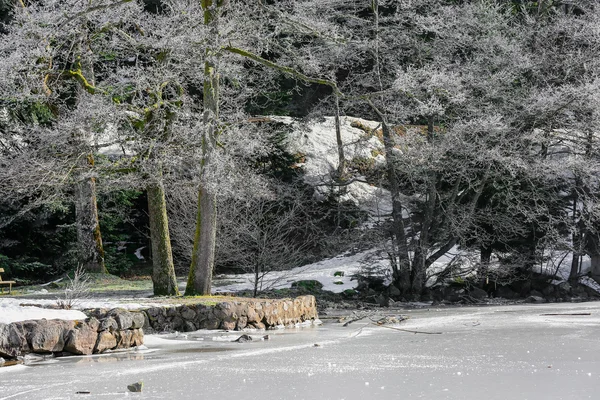 Paisaje del lago Longemer congelado en la montaña de los Vosgos, Francia —  Fotos de Stock