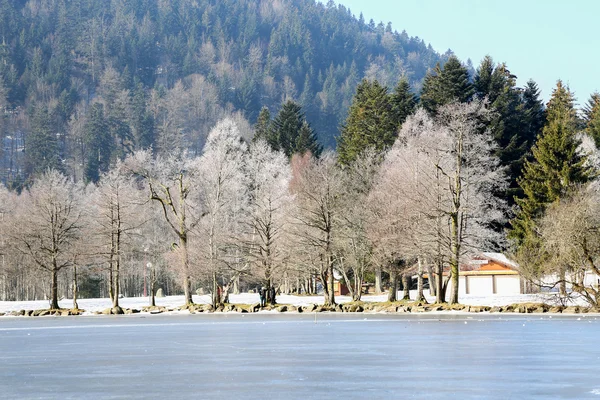 Landschaft des gefrorenen Longemer Sees in den Vogesen, Frankreich — Stockfoto