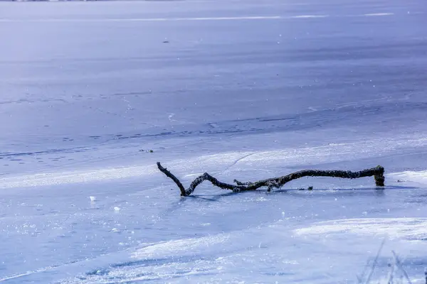 Close-up of frozen lake in the Vosges Mountain, France — Stock Photo, Image