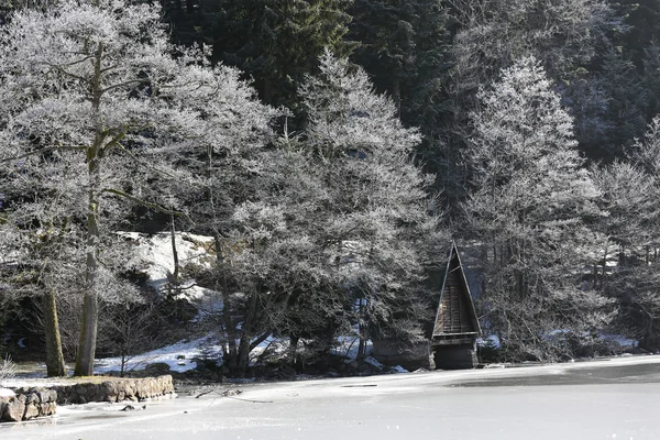 在法国孚日山冷冻 Longemer 湖的景观 — 图库照片