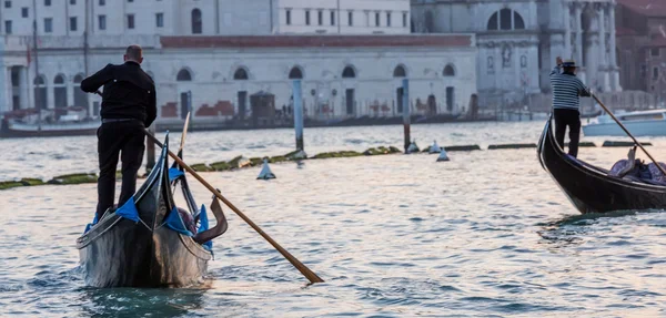 Gondoli na Canal Grande z Basilica di Santa Maria della Salut — Zdjęcie stockowe