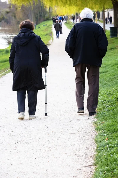 Parkta yaşlı bir çift strollingin resmini — Stok fotoğraf