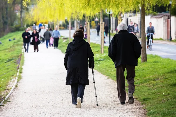 Una foto di una vecchia coppia che passeggia nel parco — Foto Stock