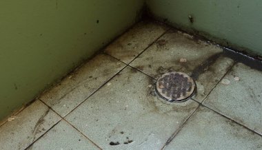 Banyodaki boşalma kapağı kıllarla tıkanmış, su akışını engellemiş, yüksek açı manzaralı.