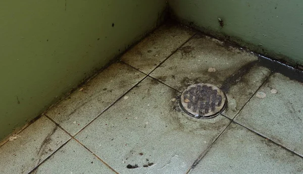 Tampa Drenagem Negligenciada Banheiro Entupido Com Cabelos Obstruir Fluxo Água Fotos De Bancos De Imagens Sem Royalties