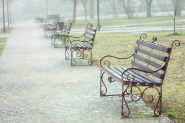 Bahar parkındaki banklar. Hava sisli ve yağmurlu.. 