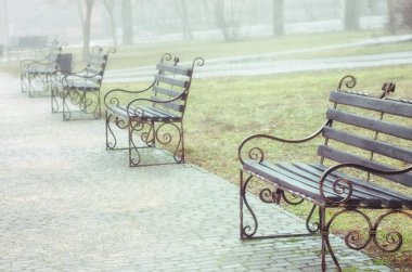 Bahar parkındaki banklar. Fotoğraf kapanışı.