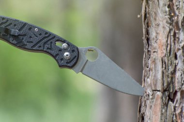 Ormandaki bir ağacın kabuğuna saplanmış bıçak..