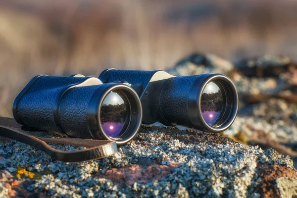 Zwarte Verrekijker Rots Ochtend Tijd Van Dag Steppe — Stockfoto