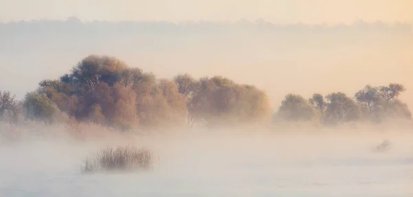 Neblige Herbstlandschaft Schlichter Ruhiger Fluss Und Bäume Ufer — Stockfoto