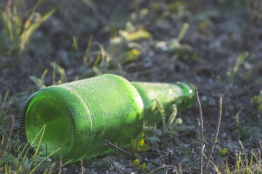Çayıra atılan boş yeşil cam şişe. Ev çöpleri çevreyi kirletiyor. Çöp ayıklama.