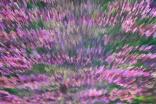 Blommande Vilda Blommor Starkt Solljus Våren — Stockfoto