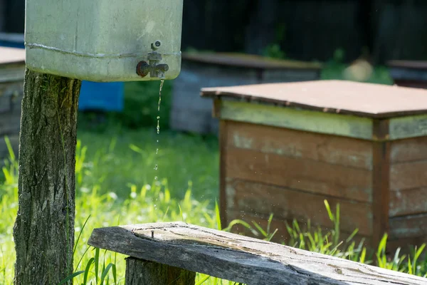 Ένα Ειδικό Μπολ Για Τις Μέλισσες Στο Μελισσοκομείο Ξύλινη Σανίδα — Φωτογραφία Αρχείου