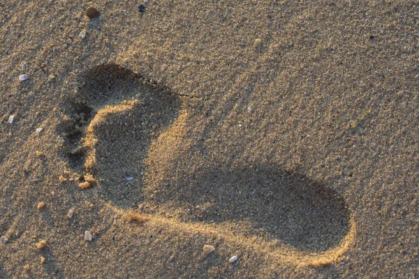 湿沙上一个人的脚印 在海滩上休息 — 图库照片
