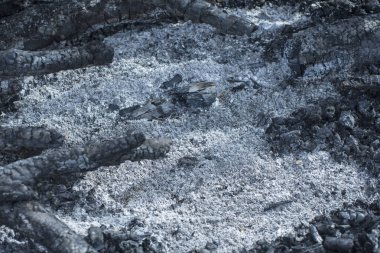 Yanmış şenlik ateşi. Kül ve siyah kömürlerin arka planı.