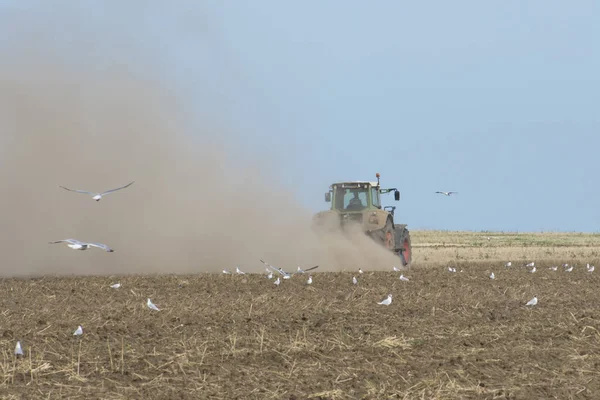 Traktorn Plöjer Fältet Jordbearbetning Jordbruksmark Damm Bakom Traktorn Och Fåglar — Stockfoto