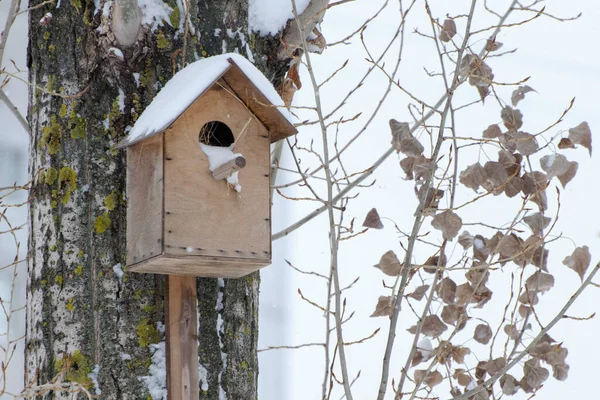 Vogelhaus Hängt Einem Baum Schnee Und Frost Auf Dem Dach — Stockfoto