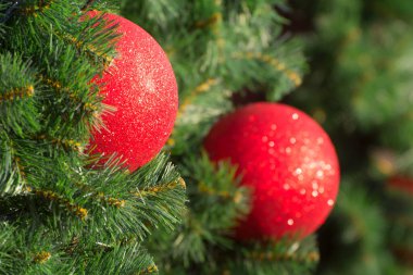 Çam iğnelerinin arka planında kırmızı Noel süslemeleri.