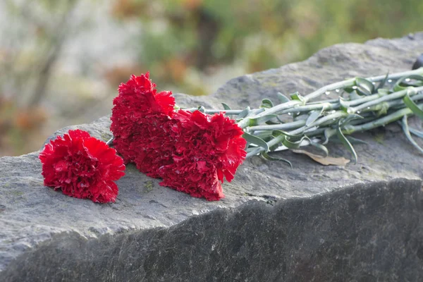 Květiny Hrobě Čtyři Červené Karafiáty Náhrobku — Stock fotografie