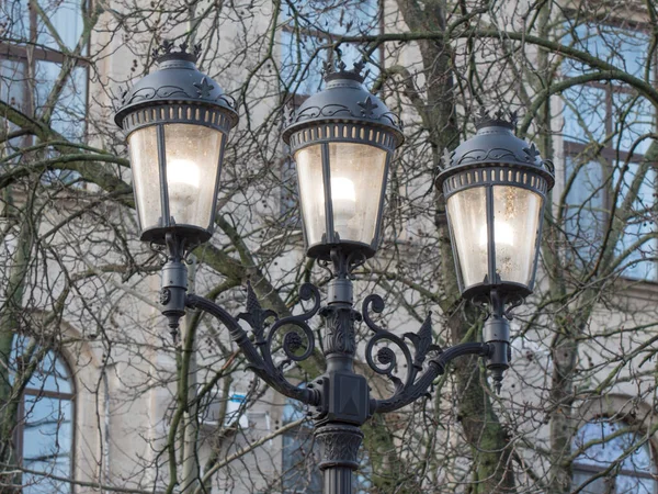 Lanterns in the city park. Lamppost with street light on the background of trees in the park.