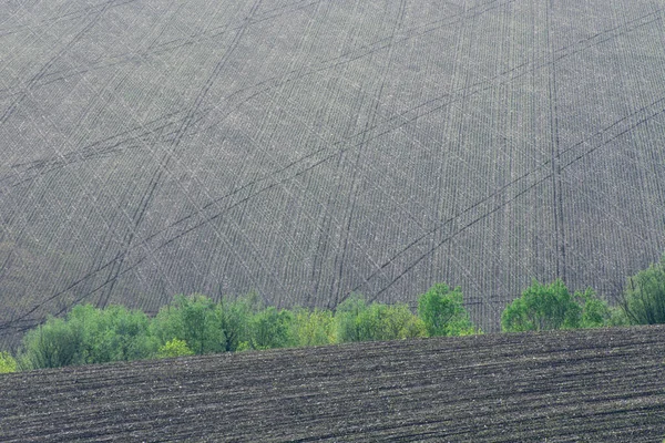 Terres Arables Paysage Rural Abstrait Champ Agricole Après Récolte Automne — Photo