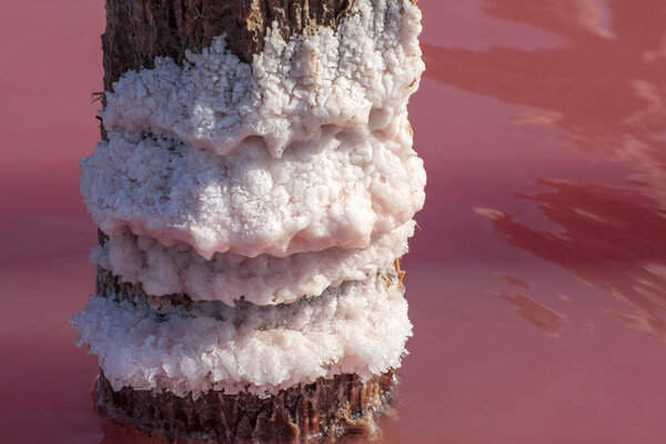 Salt crystals on wooden pillar on a salty lake. Healing salt and mud for cosmetology. Close up photo