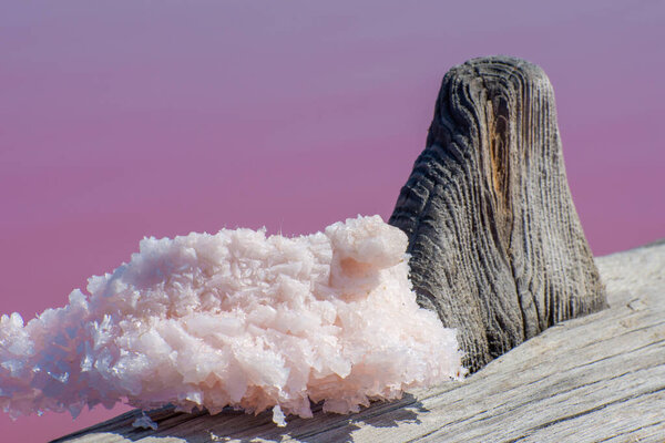 Big salt crystal on wooden pillar on a pink salty lake. Healing salt and mud for cosmetology.