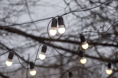 Parlak çelenk lambaları. Binanın dış aydınlığı. Çelenk geçmişi. Yanan lambalar. Özel olarak çıkarılmış bir fotoğraf..