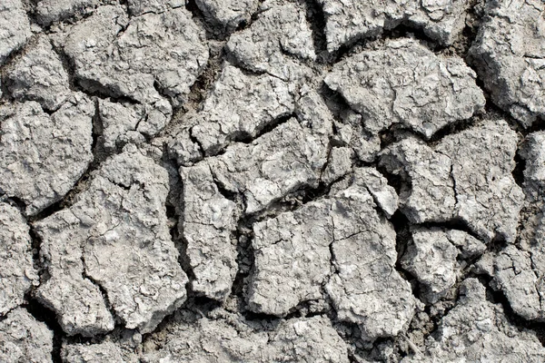 Textura Superficie Seca Del Suelo Con Grietas Profundas Fondo Del — Foto de Stock