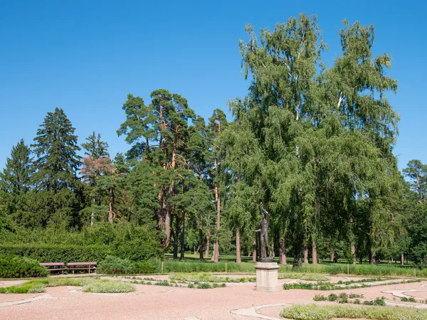 녹색 공원 — 스톡 사진