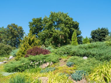 taş döşeli bahçe