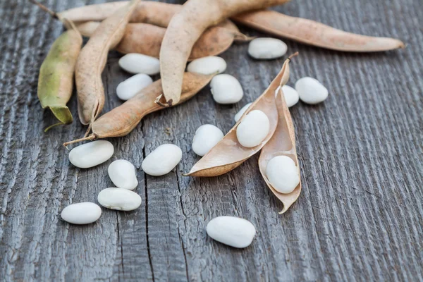 White beans — Stock Photo, Image