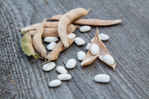 White beans — Stock Photo, Image