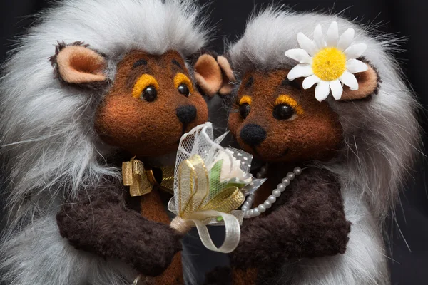 Um casal de ouriços — Fotografia de Stock