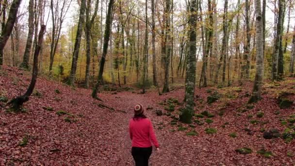 秋天的一个徒步旅行的女人穿过了森林 无人驾驶飞机在红色的田野中飞行 初秋的时候走过山毛榉地 加泰罗尼亚吉罗纳的La Fageda自然景观 — 图库视频影像