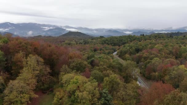 Buchenfeld Herbst Aus Der Luft Über Die Wipfel Der Buchen — Stockvideo