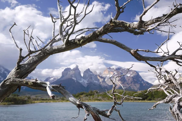 Torres del Paine nationalpark, Patagonien, Chile — Stockfoto