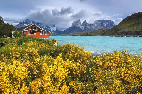 Parque Nacional Torres del Paine, Patagonia, Chile — Foto de Stock