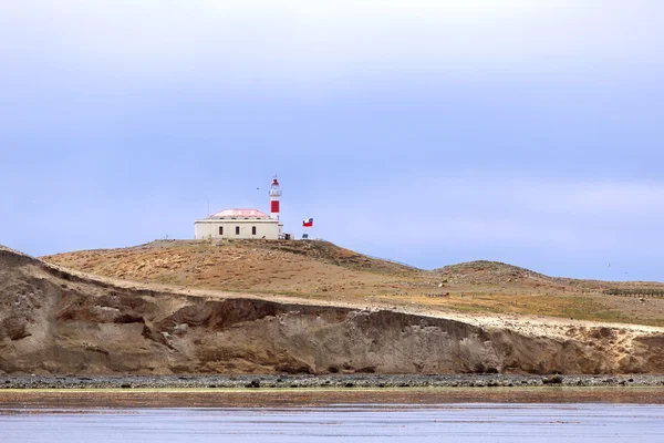 Magdalena island in Patagonia, Chile, South America — Stock Photo, Image