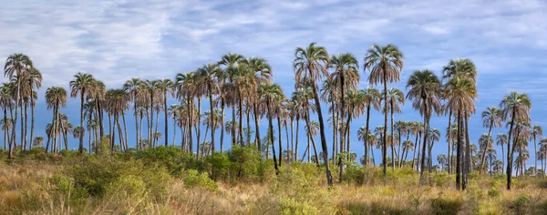 El Palmar Milli Parkı, Arjantin