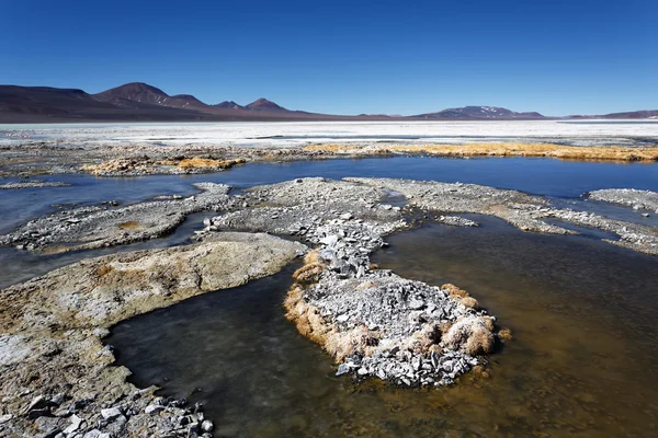 Laguny Brava, La Rioja, Argentyna — Zdjęcie stockowe