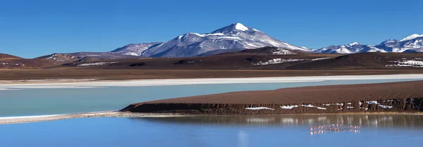 Lagune Brava, La Rioja, Argentinië — Stockfoto