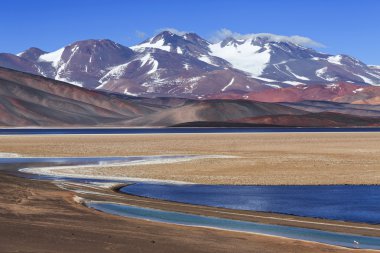 Siyah lagoon (Laguna Negra), volkan Pissis, Catamarca, Argentin